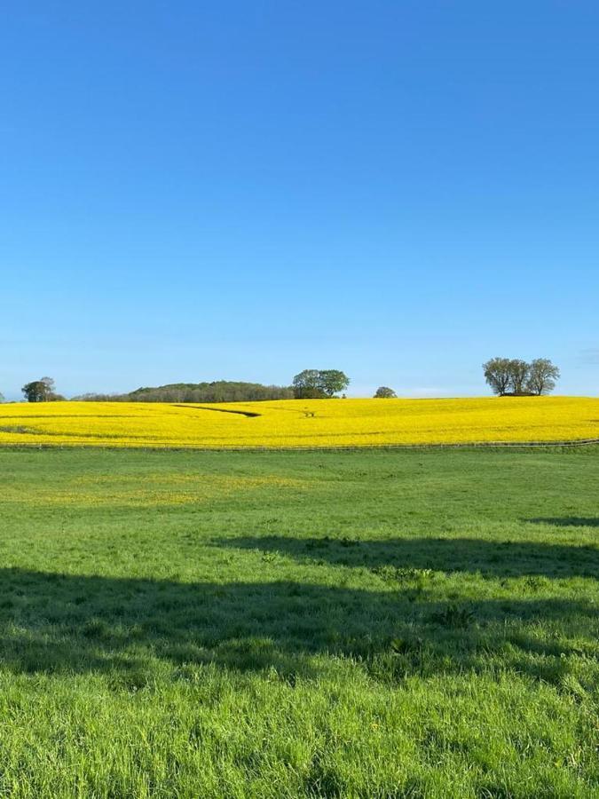 Schmuckstueck In Ostseenaehe Surendorf Buitenkant foto